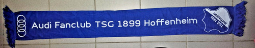 Tsg hoffenheim schal audi - tsg,